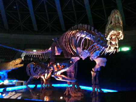 地球最古の恐竜展03.jpg