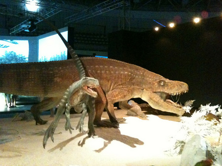 地球最古の恐竜展07.jpg