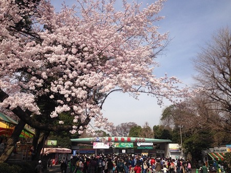 IMG_0922　上野公園.jpg